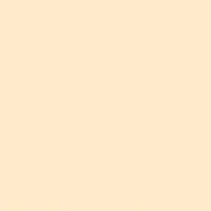 SANDERSON PAINT PALE PARCHNT  10